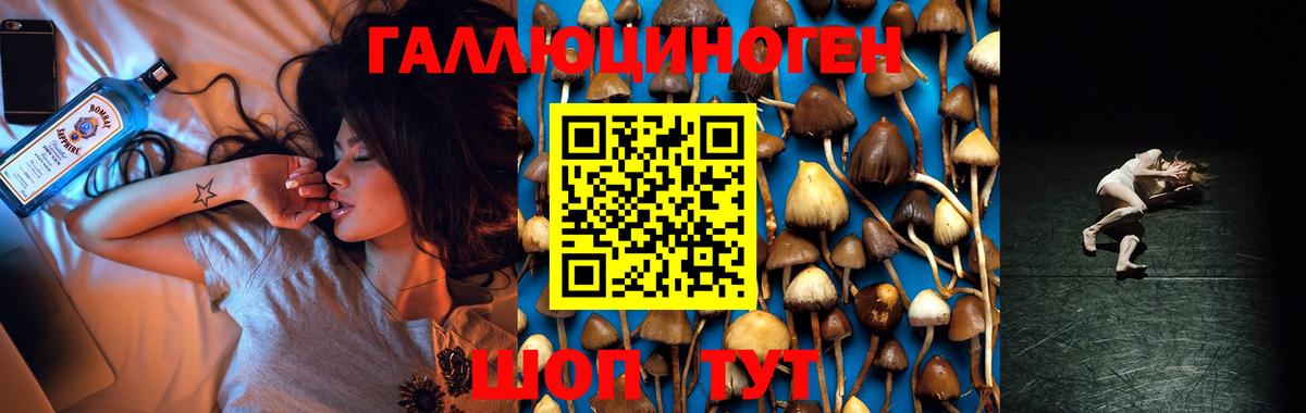 Галлюциногенные грибы мухоморы  Вход с VPN  Гатчина 